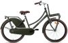 Popal Meisjesfiets Daily Dutch Basic 24 Staal Groen online kopen