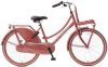 Popal Meisjesfiets Daily Dutch Basic 24 Inch 42 Cm Meisjes Terugtraprem Rood online kopen