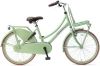 Popal Meisjesfiets Daily Dutch Basic 22 Inch 36 Cm Meisjes Terugtraprem Groen online kopen