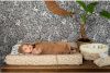 Noppies Baby Comfort Botanical muslin aankleedkussenhoes GOTS 49x75 cm Fog online kopen